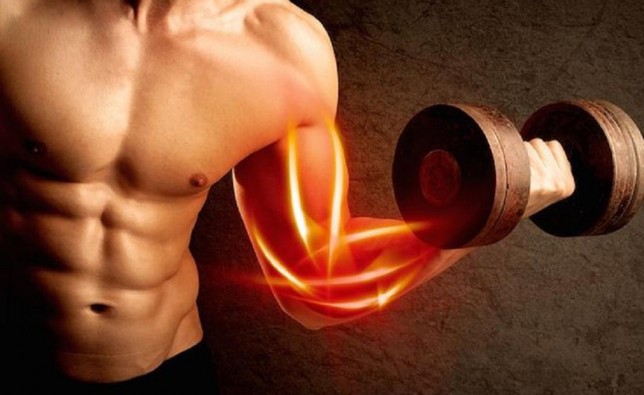 TOP NHỮNG VỆ SĨ NUÔI CƠ BAN ĐÊM CẦN ĐƯỢC VINH DANH
