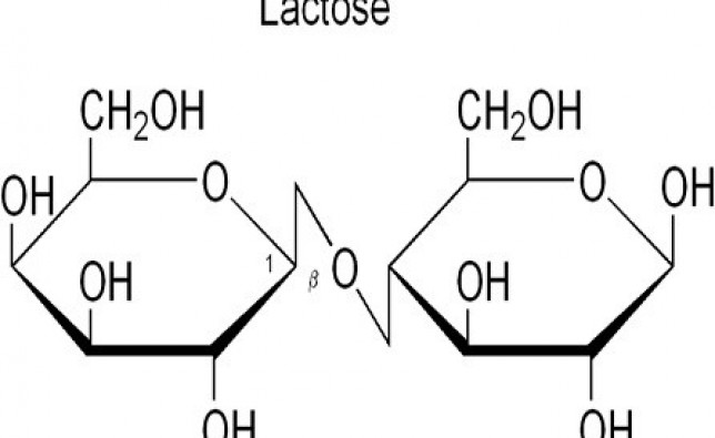 TẤT TẦN TẬT VỀ LACTOSE