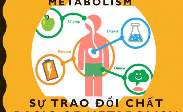 BÍ KÍP GIÚP TĂNG CƯỜNG TRAO ĐỔI CHẤT TRONG CƠ THỂ BẠN