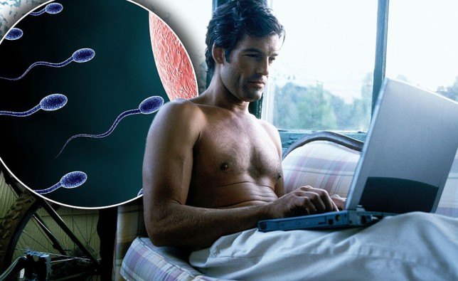 SÓNG WIFI CÓ LÀM TĂNG KHẢ NĂNG VÔ SINH Ở ĐÀN ÔNG