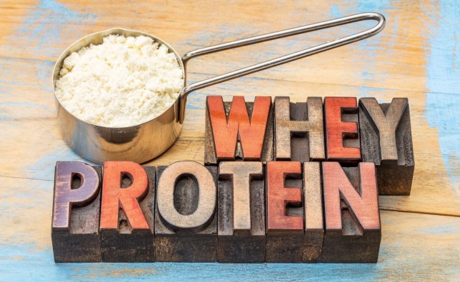 TIỀN SỬ CỦA WHEY PROTEIN MÀ BẠN CHƯA BIẾT